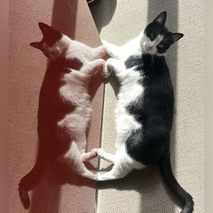 Meet your Posher, luly